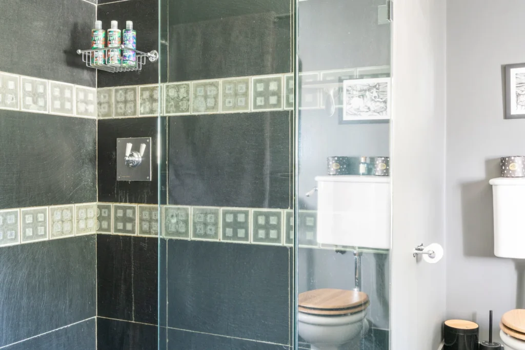 Master Bedroom Rainforest Shower